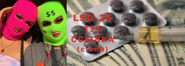 PSILOCYBIN Протвино