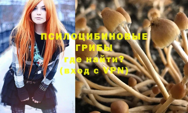 СК Покачи