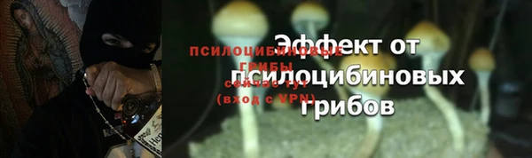 PSILOCYBIN Протвино