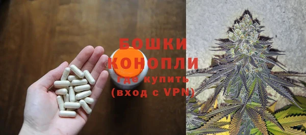 PSILOCYBIN Протвино