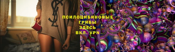 PSILOCYBIN Верхнеуральск