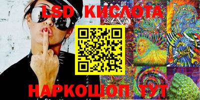 эйфоретик Берёзовский