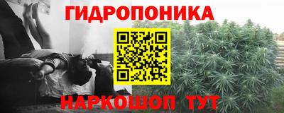 прущая мука Гусев
