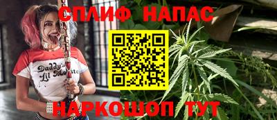 эйфоретик Берёзовский