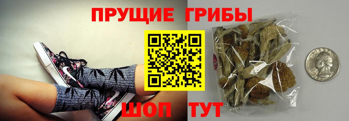 Ярцево  Галлюциногенные грибы Magic Shrooms  Вход с VPN 